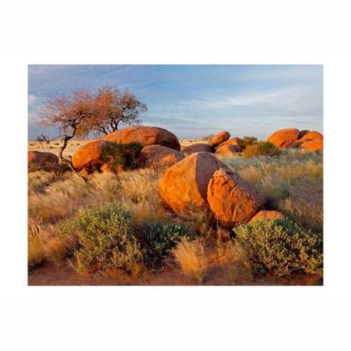 Foto tapeta - African landscape, Namibia 200x154 Cijena