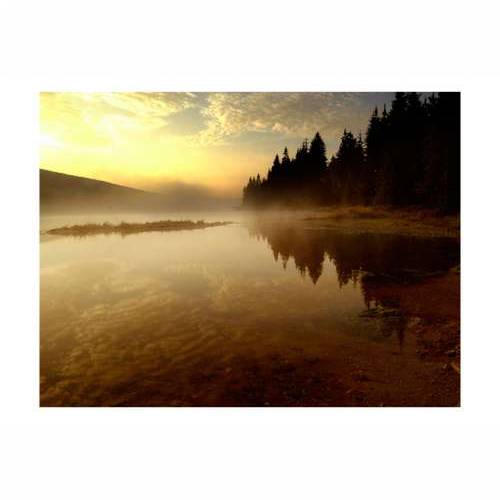 Foto tapeta - Forest and lake 200x154 Cijena