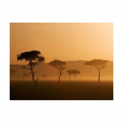 Foto tapeta - Massai Mara 200x154 Cijena