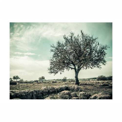Foto tapeta - tree - vintage 200x154 Cijena