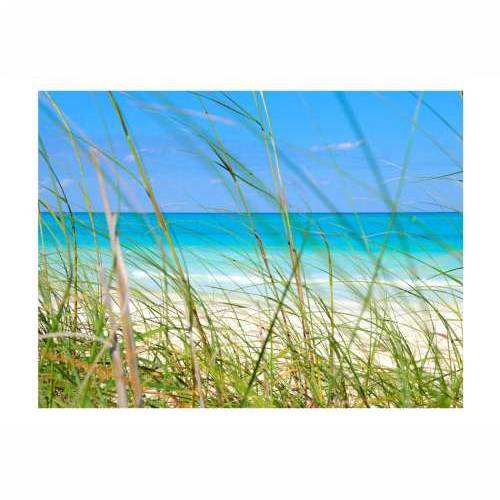 Foto tapeta - Tropical journey 200x154 Cijena