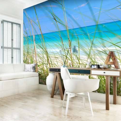 Foto tapeta - Tropical journey 250x193 Cijena