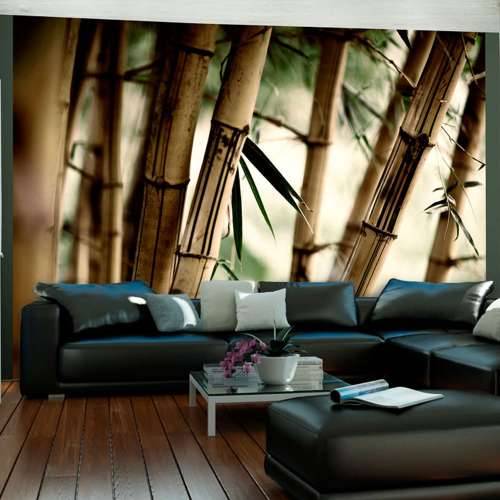 Foto tapeta - Fog and bamboo forest 250x193 Cijena