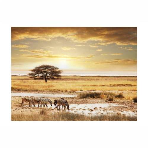 Foto tapeta - African zebras around watering hole 200x154 Cijena