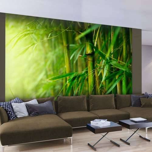 Foto tapeta - jungle - bamboo 250x193 Cijena