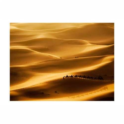 Foto tapeta - Caravan of camels 200x154 Cijena