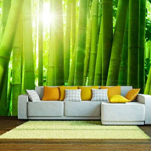 Foto tapeta - Sun and bamboo 350x270 Cijena