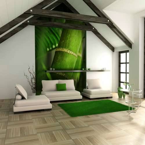 Foto tapeta - bamboo - detail 200x154 Cijena