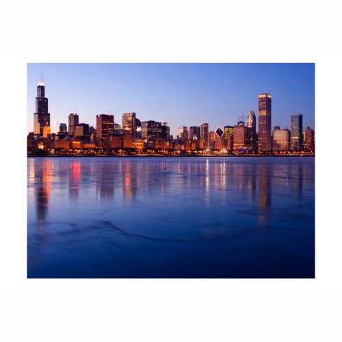 Foto tapeta - Icy Downtown Chicago 200x154 Cijena
