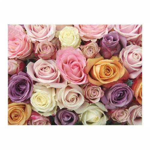 Foto tapeta - Pastel roses 250x193 Cijena