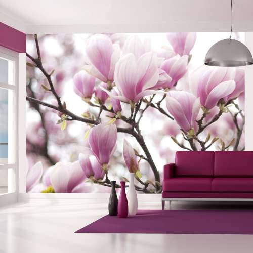 Foto tapeta - Magnolia bloosom 400x309 Cijena