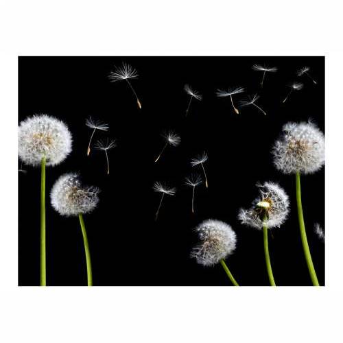 Foto tapeta - Dandelions in the wind 200x154 Cijena