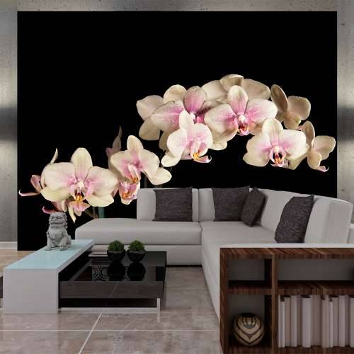 Foto tapeta - Blooming orchid 200x154 Cijena