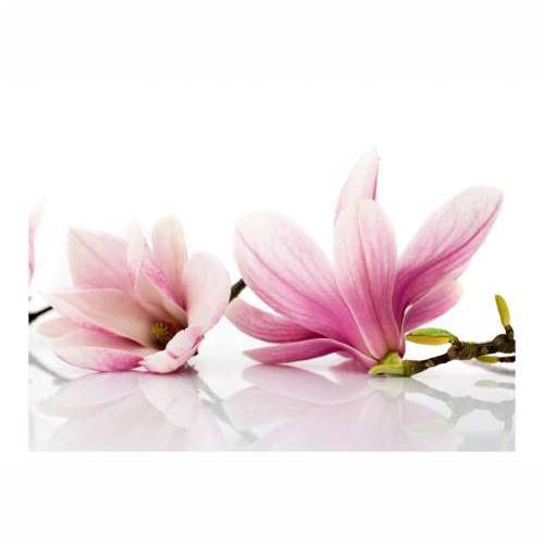 Foto tapeta - Magnolia flower 200x154 Cijena