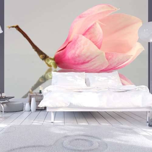 Foto tapeta - A lonely magnolia flower 200x154 Cijena