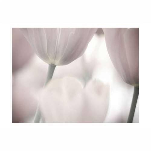 Foto tapeta - Tulips fine art - black and white 200x154 Cijena
