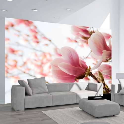 Foto tapeta - Pink magnolia 250x193 Cijena