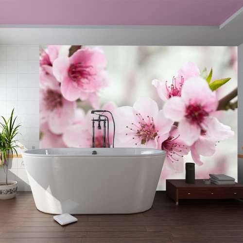 Foto tapeta - Spring, blooming tree - pink flowers 250x193 Cijena