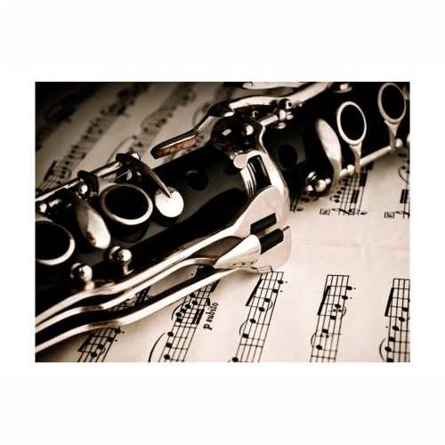 Foto tapeta - Clarinet and music notes 250x193 Cijena