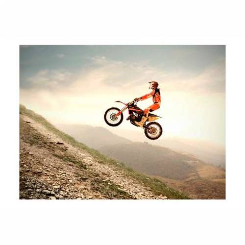 Foto tapeta - Motor sport 250x193 Cijena