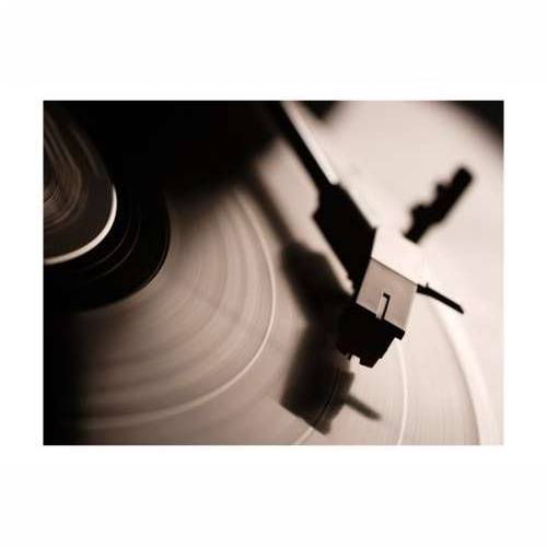 Foto tapeta - Gramophone and vinyl record 200x154 Cijena