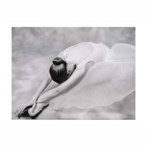 Foto tapeta - photo: ballerina 200x154 Cijena