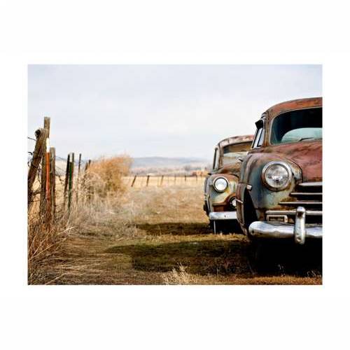 Foto tapeta - Two old, American cars 200x154 Cijena