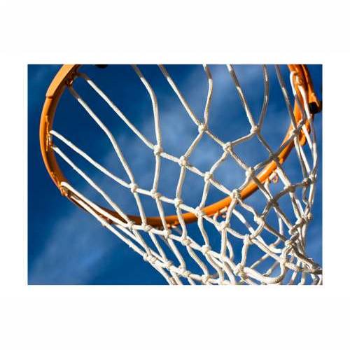Foto tapeta - sport - basketball 350x270 Cijena