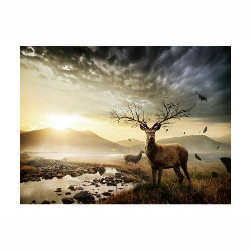 Foto tapeta - Deers by mountain stream 350x270 Cijena