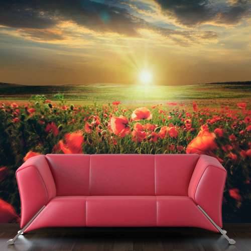 Foto tapeta - Morning on the poppy meadow 250x193