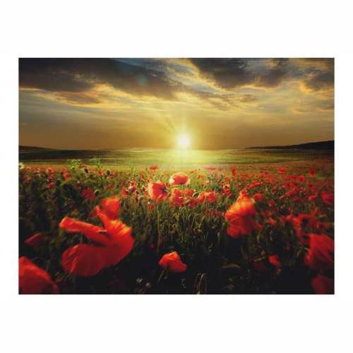 Foto tapeta - Morning on the poppy meadow 250x193 Cijena