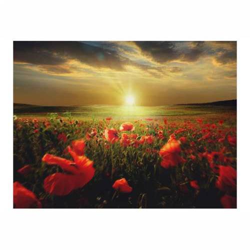 Foto tapeta - Morning on the poppy meadow 350x270 Cijena