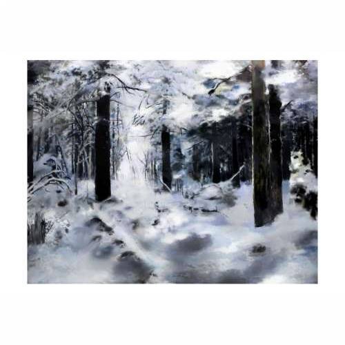 Foto tapeta - Winter forest 200x154 Cijena