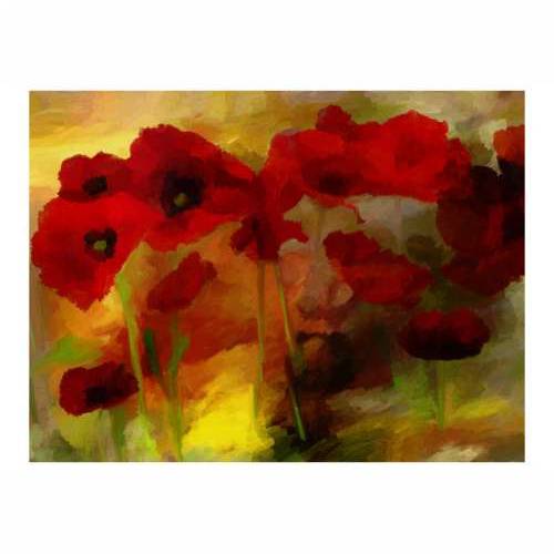 Foto tapeta - Poppies in warm tone 200x154 Cijena