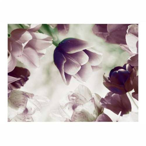 Foto tapeta - Heavenly tulips 300x231 Cijena