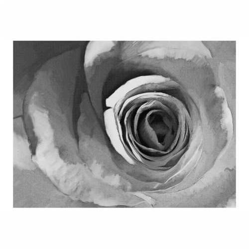 Foto tapeta - Paper rose 300x231 Cijena