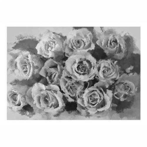 Foto tapeta - A dozen roses 350x270 Cijena