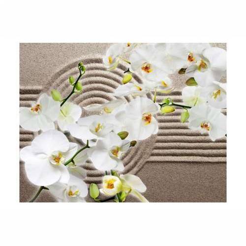 Foto tapeta - Beautiful Zen Garden 200x154 Cijena