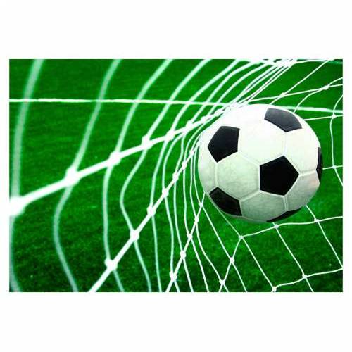 Foto tapeta - Goal! 100x70 Cijena