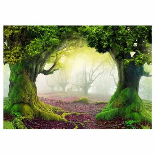 Foto tapeta - Enchanted forest 150x105 Cijena