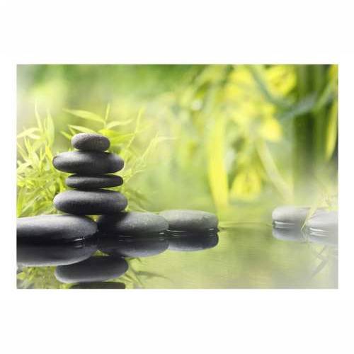 Foto tapeta - Serenity of nature 100x70 Cijena