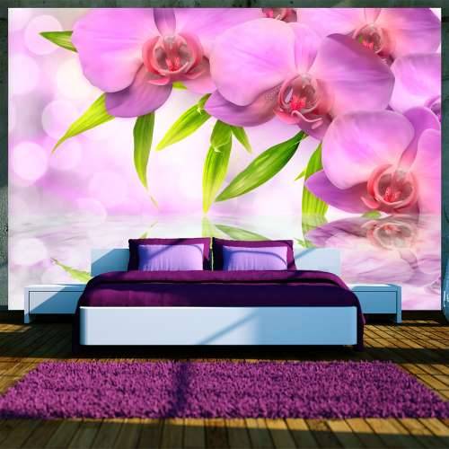 Foto tapeta - Orchids in lilac colour 100x70 Cijena