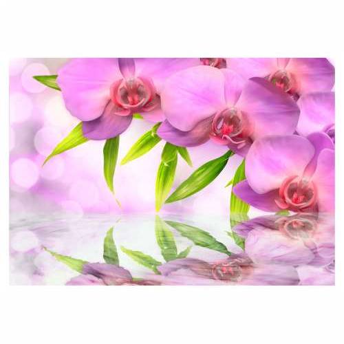 Foto tapeta - Orchids in lilac colour 100x70 Cijena