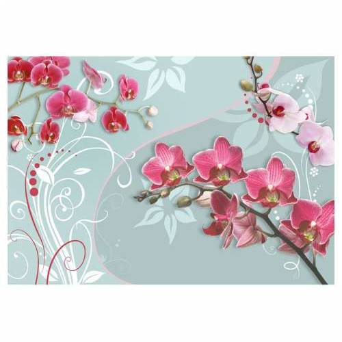 Foto tapeta - Pink orchids - variation II 100x70 Cijena
