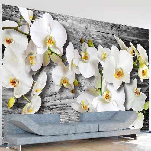 Foto tapeta - Callous orchids III 100x70 Cijena