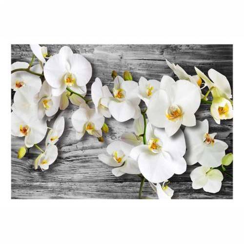 Foto tapeta - Callous orchids III 100x70 Cijena