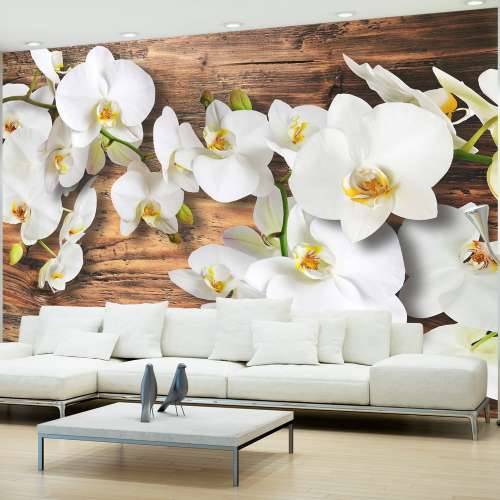 Foto tapeta - Forest Orchid 300x210 Cijena