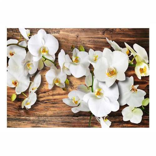 Foto tapeta - Forest Orchid 300x210 Cijena