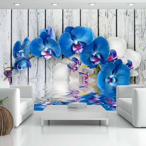Foto tapeta - Cobaltic orchid 100x70 Cijena