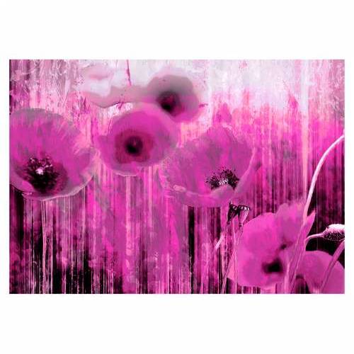 Foto tapeta - Pink madness 150x105 Cijena